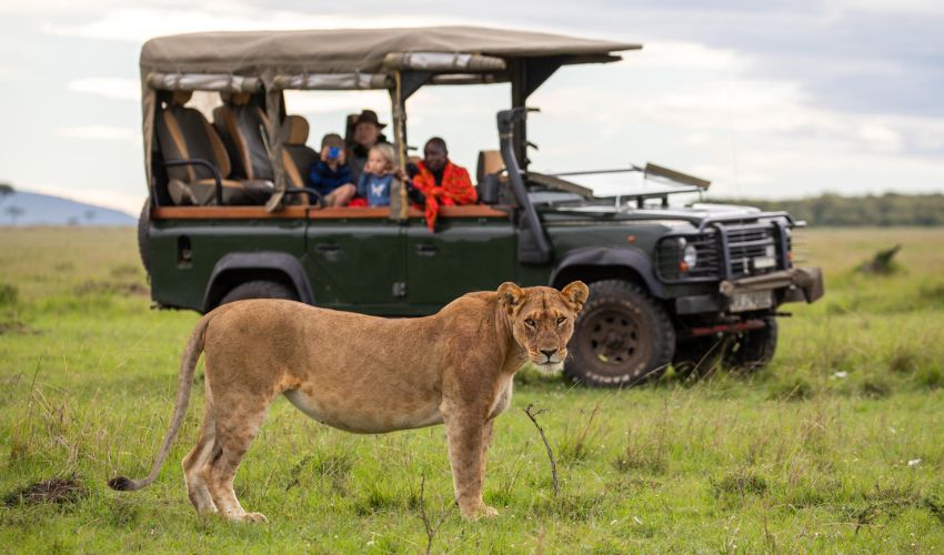 Family Enjoy a Private Game Drive at House in the Wild