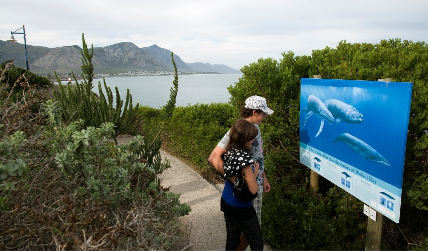 Tourists along Whale Walk, Hermanus