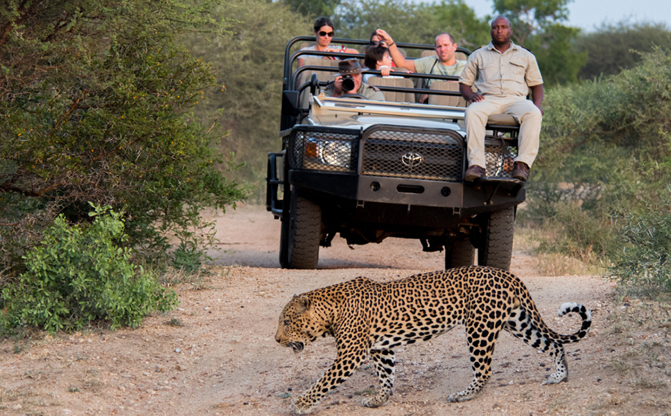 Kapama Private Game Reserve