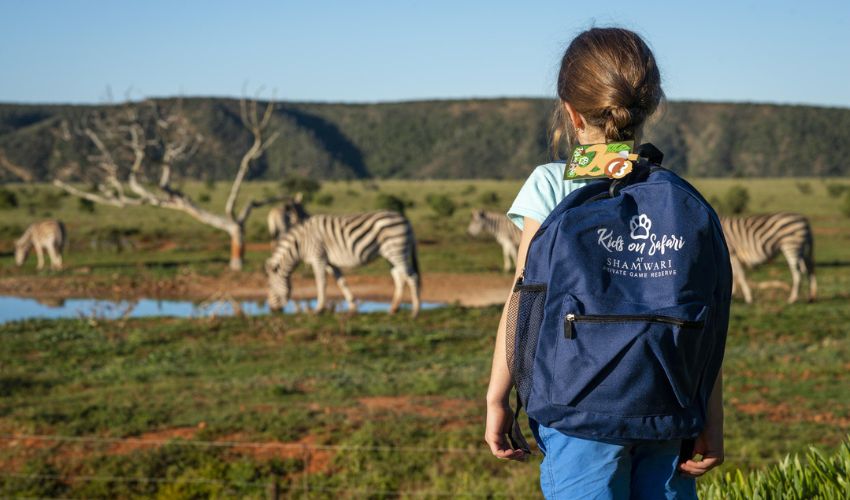 Young girl watches some zebra, while on safari at Shamwari Private Game Reserve.