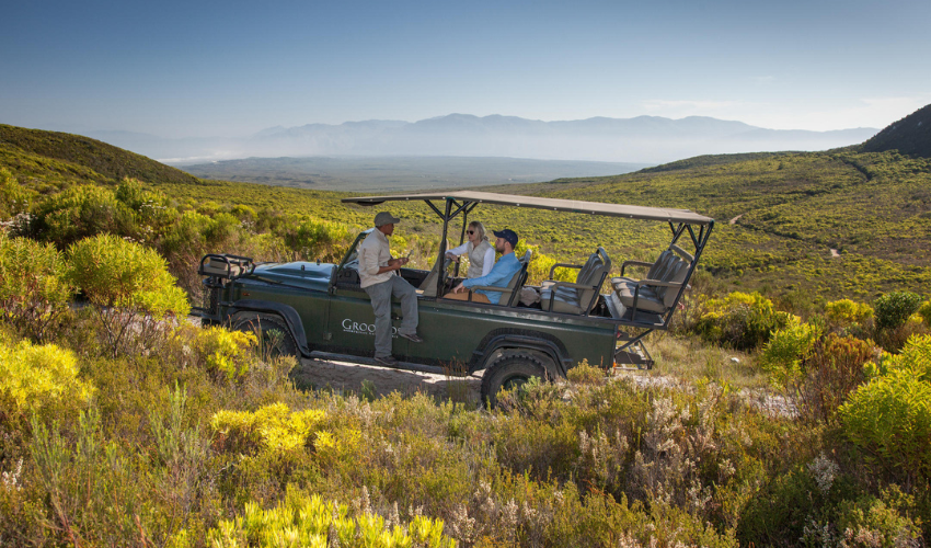 Experience the natural wonders of Grootbos on a 4x4 botanical safari.