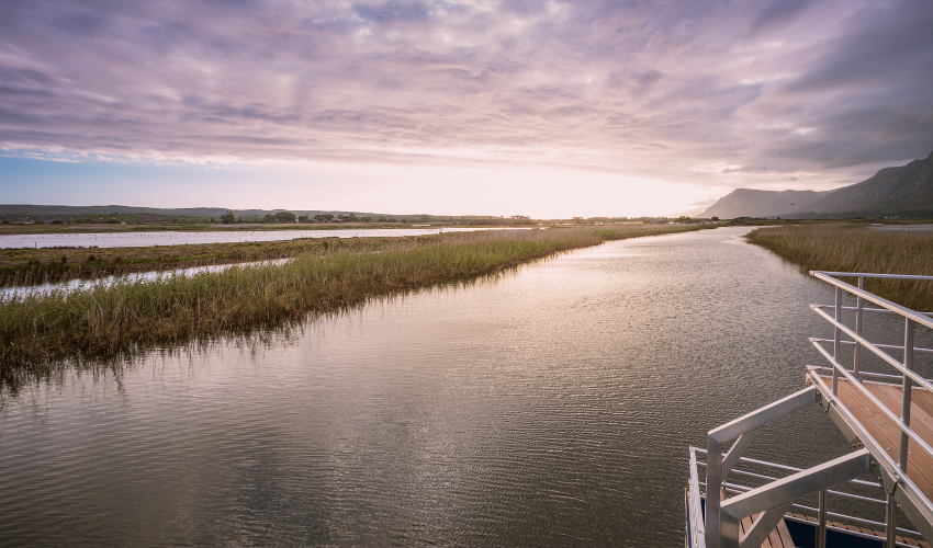 Lady Stanford River Cruises