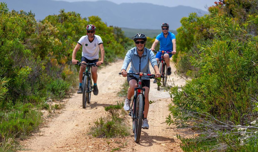Be immersed in nature as you ride amongst unique fynbos