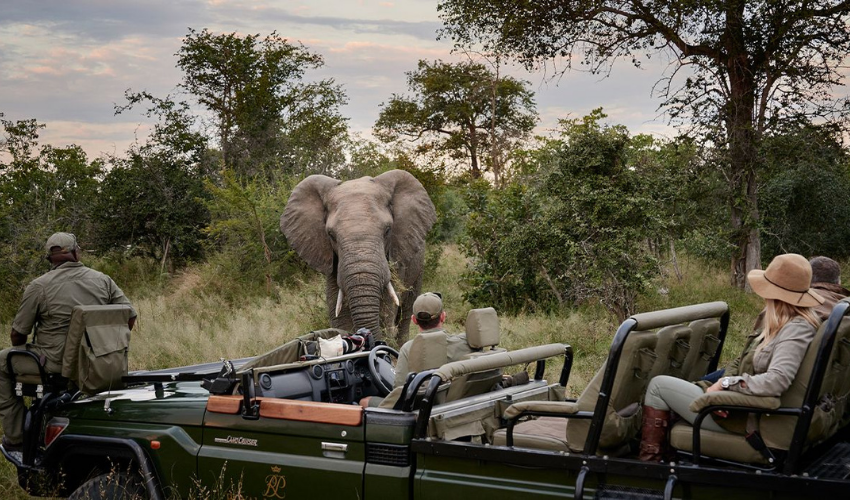 Safari vehicle with guide and guests, enjoying an intimate moment with an elephant on a game drive in the Greater Kruger Area.